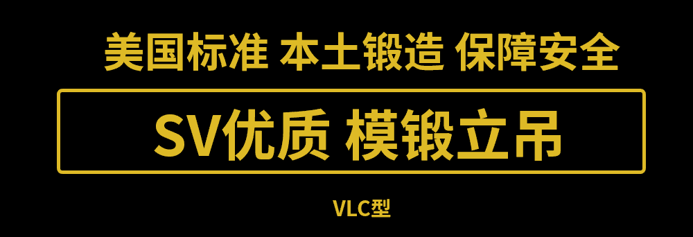 美国艾培尔(Able)SV优质模锻立吊VLC型在武汉正式开售! 美国艾培尔(Able)SV优质模锻立吊VLC型在武汉正式开售!